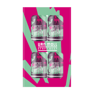 4-pack dreamcatcher in geschenkverpakking